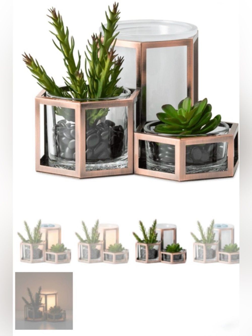 Scentsy Wild Desert wax warmer - VGUC! Beautiful succulent garden warmer trivase